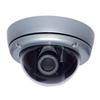 Digital Peripherals Professional CCD Outdoor Vandal Dome Proof Camera with 480 TVL Resolution